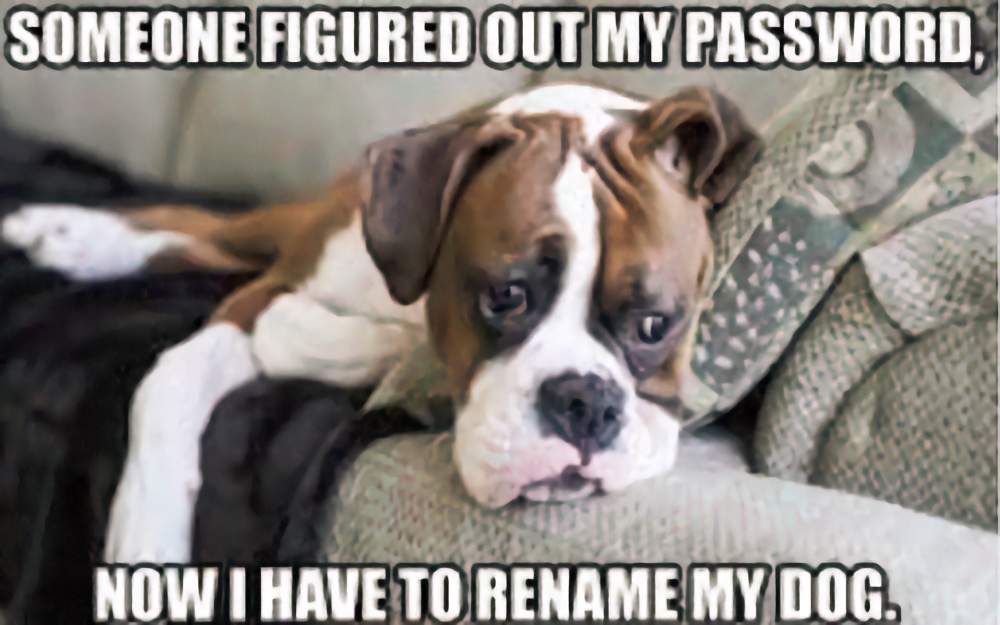 Meme of a dog saying someone figured out my password and now i have to rename my dog.